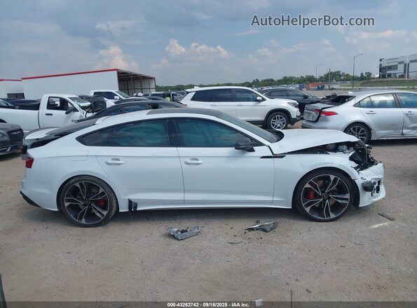 WAUC4CF55SA008255 2025 AUDI S5 White Widok wnętrza z tyłu