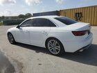 2024 Audi A4 Premium Plus 45 White vin: WAUEAAF43RN007024
