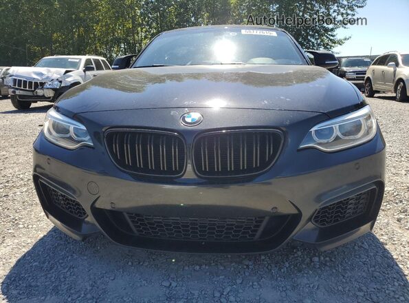 WBA1J7C59GV289973 2016 BMW M2 Black Դիմացի տեսք