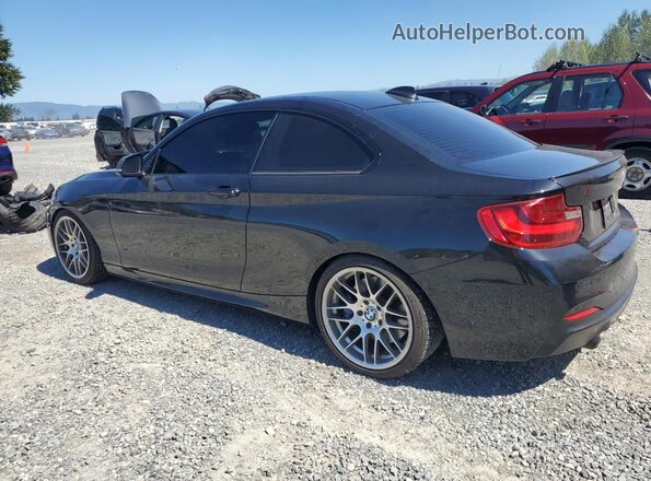 WBA1J7C59GV289973 2016 BMW M2 Black Հետևի ձախ