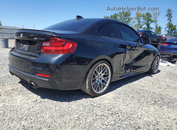 WBA1J7C59GV289973 2016 BMW M2 Black Հետևի աջ