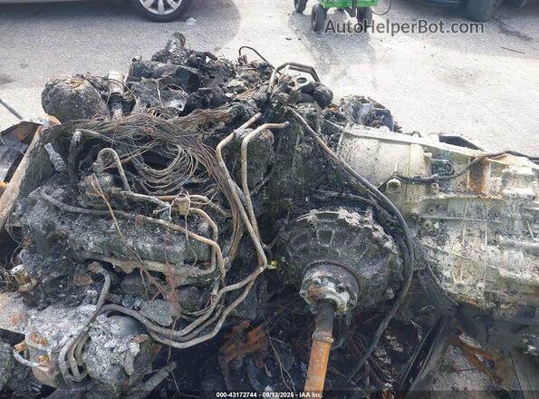 WP0AA2A90LS206261 2020 PORSCHE 911 Белый Вид сзади