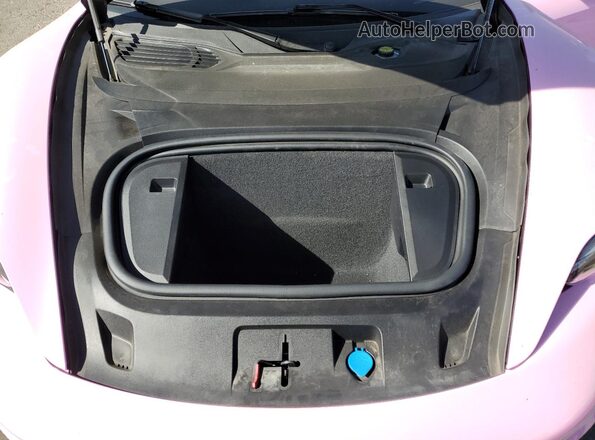 WP0AA2Y15PSA16206 2023 PORSCHE TAYCAN Розовый Вид задней части салона