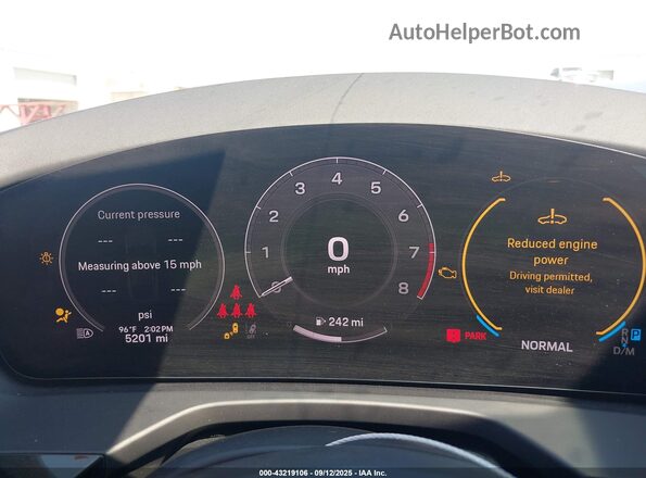 WP0AA2YA0SL005002 2025 PORSCHE PANAMERA Серый Вид задних сидений