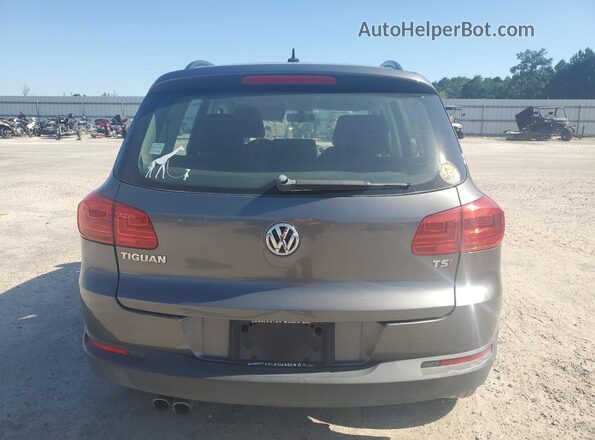 WVGAV7AX2GW552886 2016 VOLKSWAGEN TIGUAN Gray Widok z tyłu