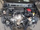 2023 Dodge Hornet Gt Gray vin: ZACNDFAN6P3A01012