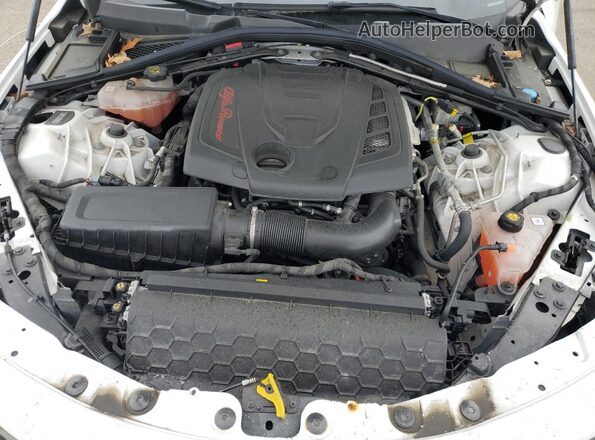 ZARFAMAN7M7645983 2021 ALFA ROMEO GIULIA Белый Вид задней части салона