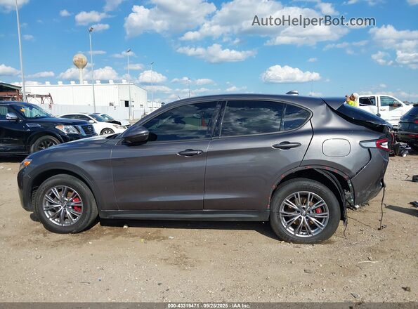 ZASPAJAN7P7D54330 2023 ALFA ROMEO STELVIO Серый Панорамный вид салона 360°