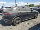 2020 Alfa Romeo Stelvio Black vin: ZASPAJANXL7C76295