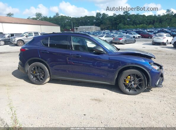 ZASPAKAN0L7C82712 2020 ALFA ROMEO STELVIO Dark Blue Панорамный вид салона 360°