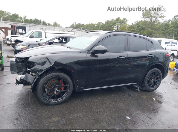 ZASPAKBN0M7D10265 2021 ALFA ROMEO STELVIO Черный 