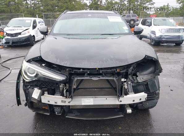 ZASPAKBN0M7D10265 2021 ALFA ROMEO STELVIO Черный Вид задней части салона