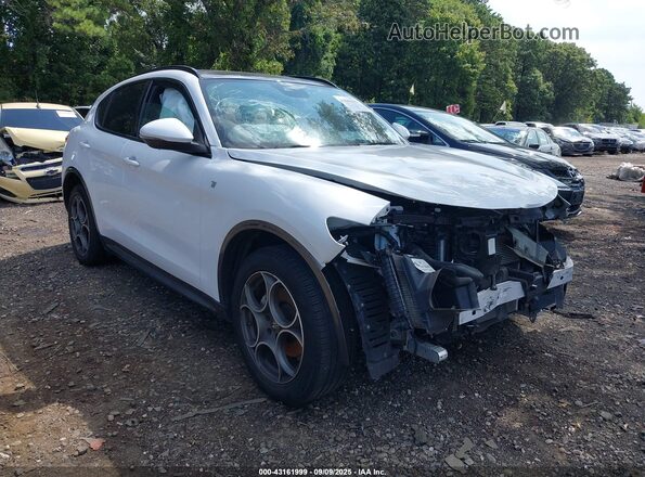 ZASPAKBN0N7D43347 2022 ALFA ROMEO STELVIO White Widok z przodu