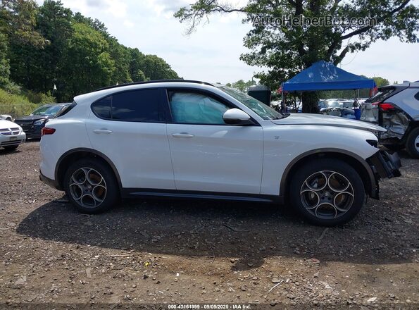 ZASPAKBN0N7D43347 2022 ALFA ROMEO STELVIO White Widok wnętrza z tyłu