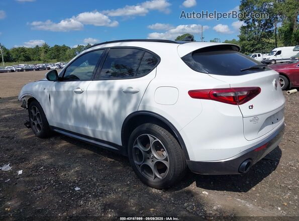 ZASPAKBN0N7D43347 2022 ALFA ROMEO STELVIO White Widok wnętrza 360 stopni