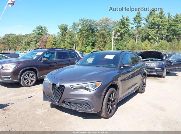 ZASPAKBN7L7C83600 2020 ALFA ROMEO STELVIO Серый Передняя левая четверть