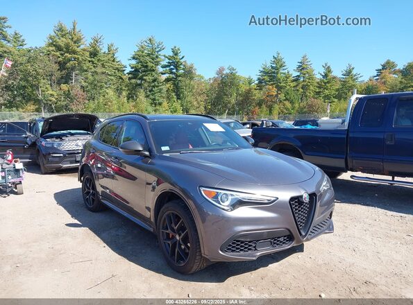 ZASPAKBN7L7C83600 2020 ALFA ROMEO STELVIO Серый Передняя правая четверть