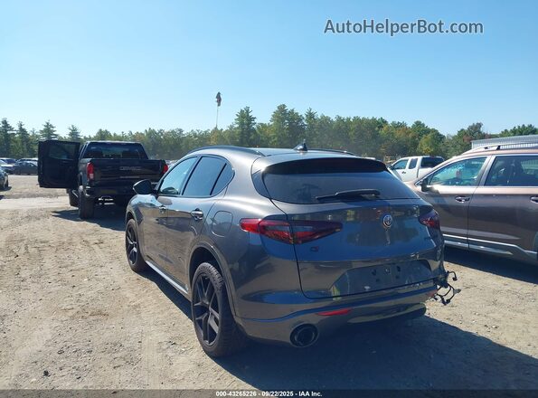 ZASPAKBN7L7C83600 2020 ALFA ROMEO STELVIO Серый Задняя левая четверть