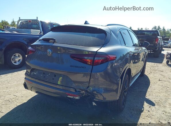 ZASPAKBN7L7C83600 2020 ALFA ROMEO STELVIO Серый Вид спереди