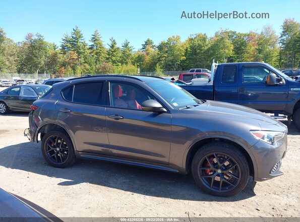 ZASPAKBN7L7C83600 2020 ALFA ROMEO STELVIO Серый Вид задней части салона