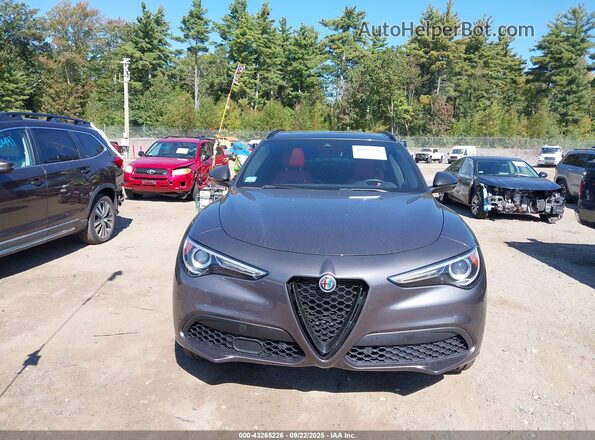 ZASPAKBN7L7C83600 2020 ALFA ROMEO STELVIO Серый Вид щитка приборов