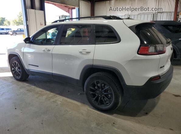 1C4PJMMB9PD112278 2023 JEEP CHEROKEE White Rear left