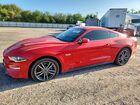 2019 Ford Mustang Gt Red vin: 1FA6P8CF2K5201804