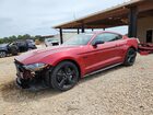 2021 Ford Mustang Gt Red vin: 1FA6P8CF5M5129189