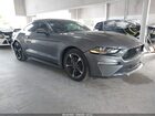 2021 Ford Mustang Ecoboost Fastback Gray vin: 1FA6P8TH4M5114569
