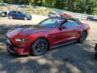2019 Ford Mustang Gt Red vin: 1FATP8FF3K5204869