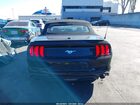 2021 Ford Mustang Ecoboost Premium Black vin: 1FATP8UH1M5116488