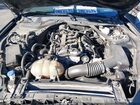 2021 Ford Mustang Ecoboost Premium Black vin: 1FATP8UH1M5116488