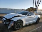 2019 Ford Mustang White vin: 1FATP8UH2K5138514
