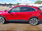 2023 Ford Escape Platinum Темно-бордовый vin: 1FMCU9JA0PUB44255