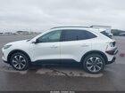 2023 Ford Escape Platinum Белый vin: 1FMCU9JA9PUA69491