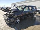 2024 Ford Expedition Max Limited Black vin: 1FMJK2A87REA65826