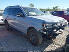 2025 Ford Expedition Tremor Light Blue vin: 1FMJU1RG1SEA03392