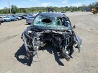 2024 Ford Explorer Xlt Gray vin: 1FMSK8DH9RGA33404