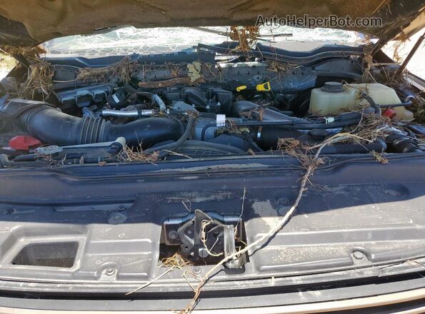 1FT7W2BT8HEC01224 2017 FORD F250 Blue Սալոնի հետևի տեսք