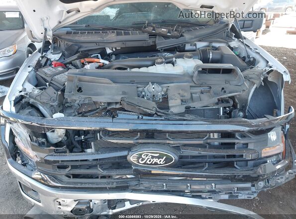 1FTFW3LD7SFA53013 2025 FORD F150 Gray Հետևի տեսք