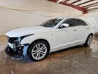2024 Cadillac Ct4 Luxury White vin: 1G6DA5RK9R0127569