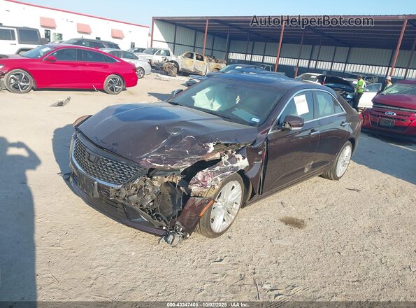 1G6DB5RK7N0108154 2022 CADILLAC CT4 Бордовый Передняя левая четверть