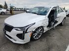 2024 Cadillac Ct4 Sport White vin: 1G6DC5RK7R0132022