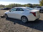 2024 Cadillac Ct4 Luxury + White vin: 1G6DK5RKXR0125410