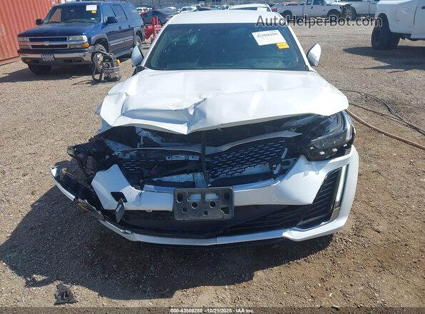 1G6DM5RK0R0127743 2024 CADILLAC CT5 Белый Вид спереди
