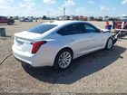 2024 Cadillac Ct5 Luxury Белый vin: 1G6DM5RK0R0127743