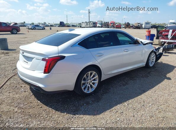 1G6DM5RK0R0127743 2024 CADILLAC CT5 Белый Задняя правая четверть