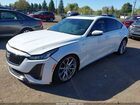 2024 Cadillac Ct5-v V-series Белый vin: 1G6DR5RW2R0131684