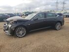 2025 Cadillac Ct5 Premium Luxury Black vin: 1G6DS5RW8S0102006