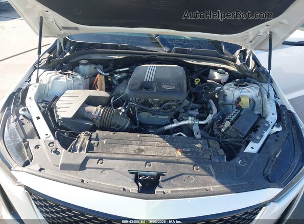 1G6DW5RK4P0119121 2023 CADILLAC CT5 Белый Вид сзади
